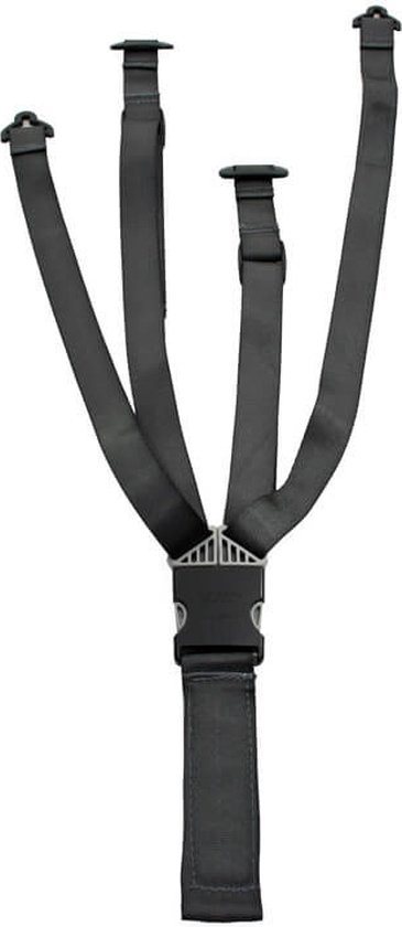 Yepp Gordelset Maxi - Thule driepuntsgordel voor achterzitje